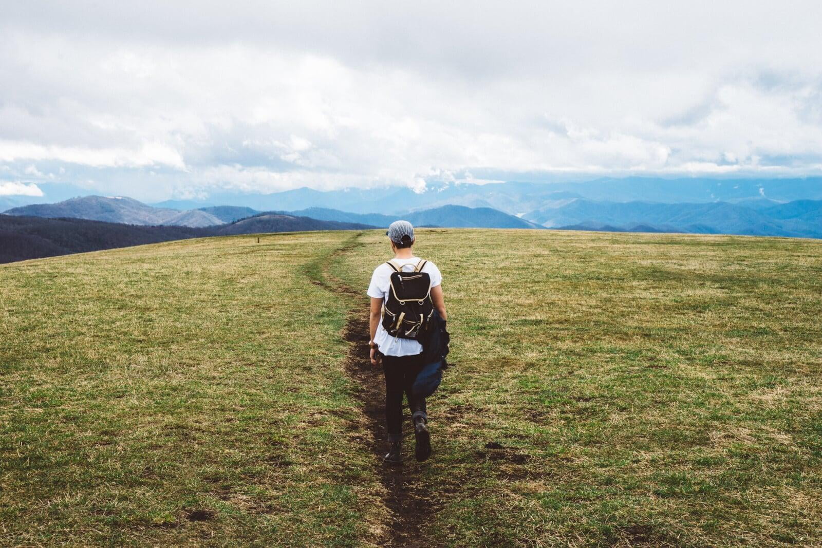 Where are you in your career journey?